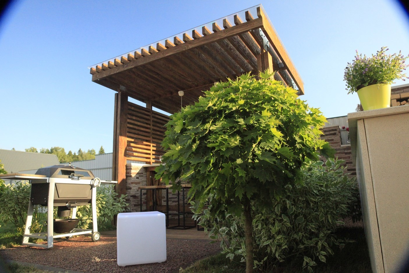 Программа Дачный Ответ