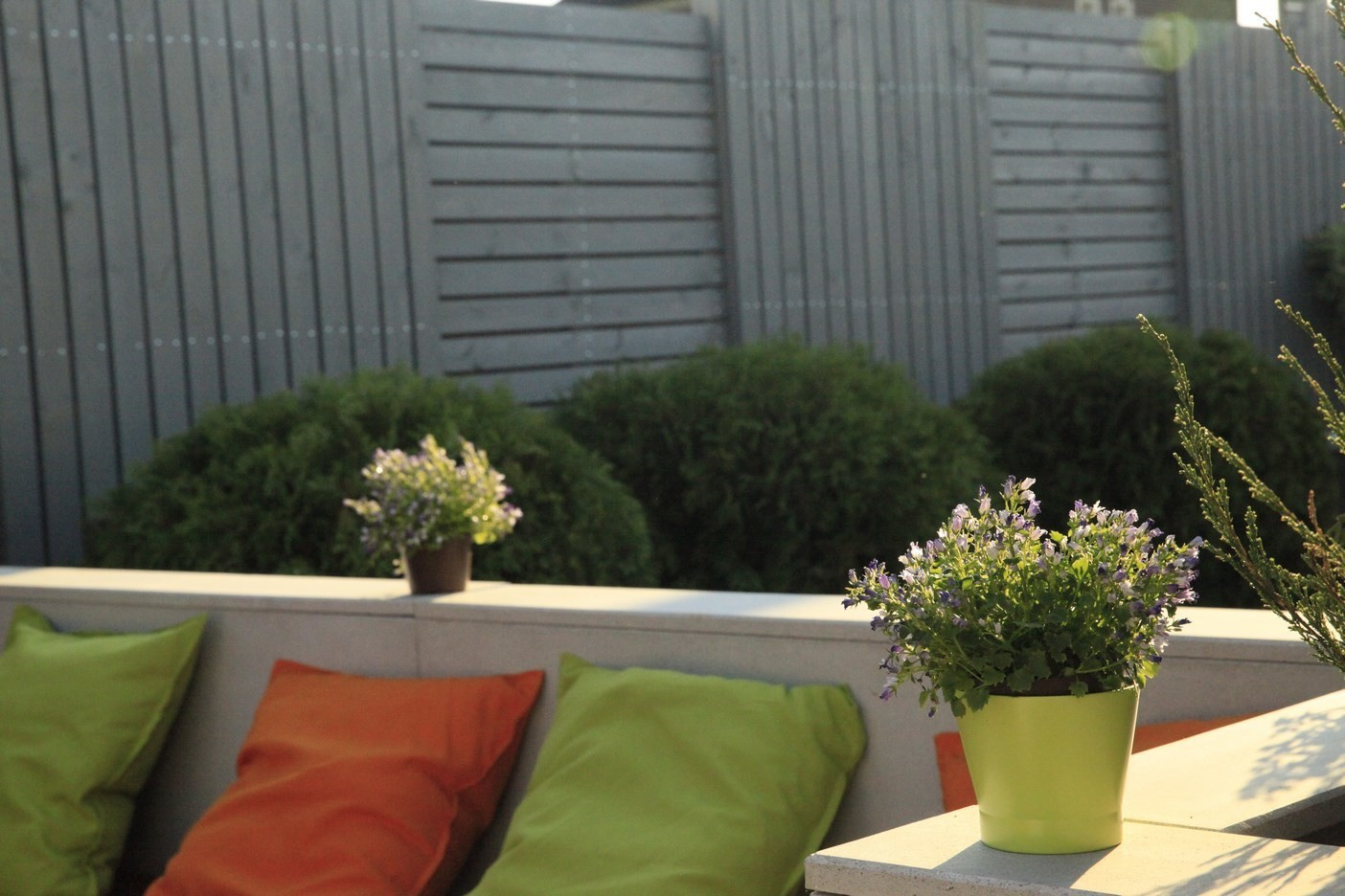 Программа Дачный Ответ