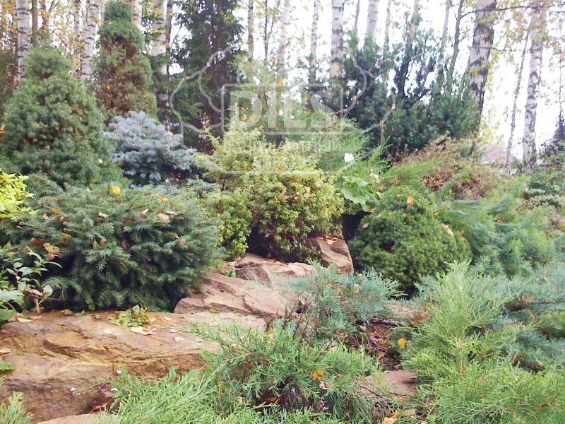 Рублево-Успенское шоссе, Московская область