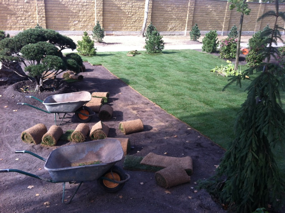 Выполненные работы