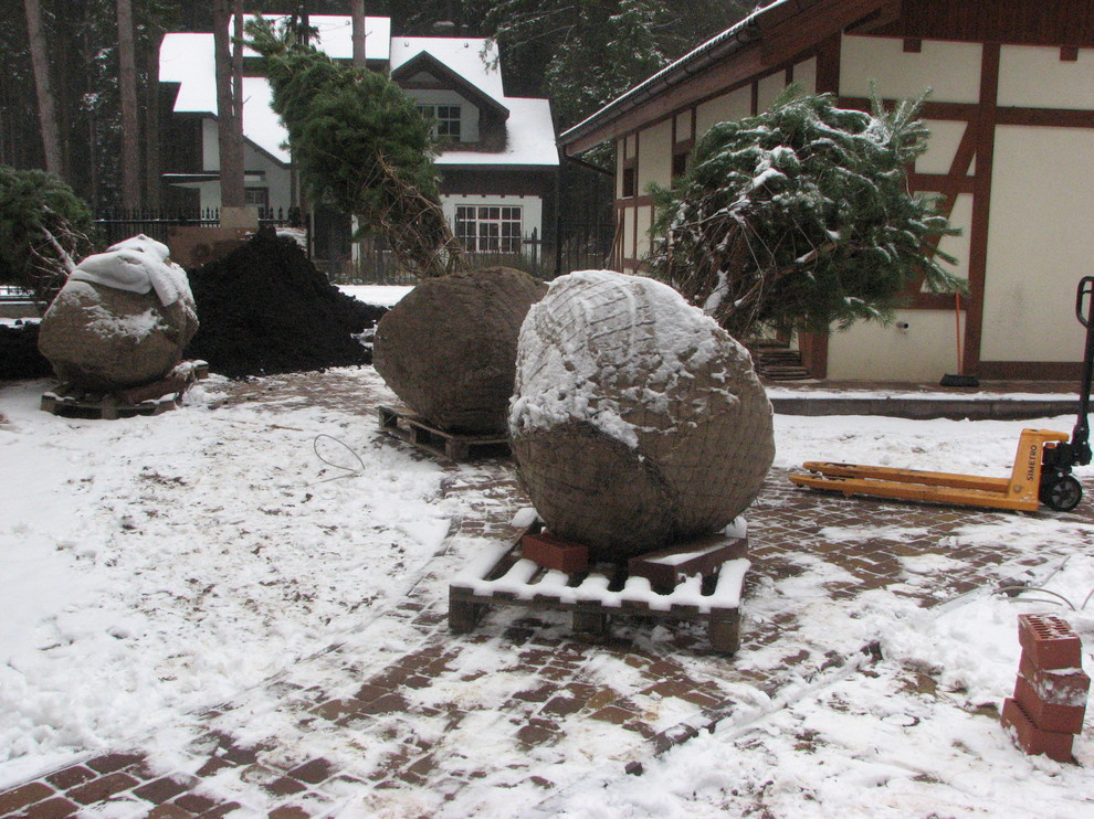 Выполненные работы