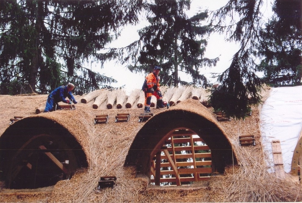 Выполненные работы