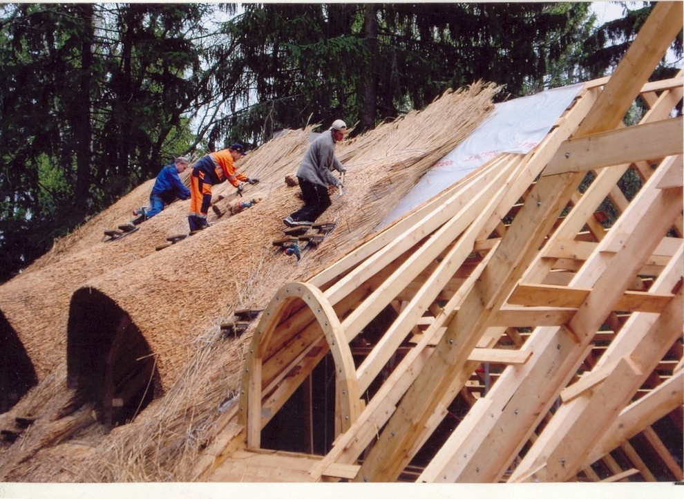 Выполненные работы