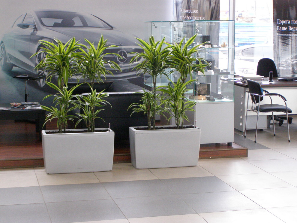 Зона отдыха автосалон Мерседес