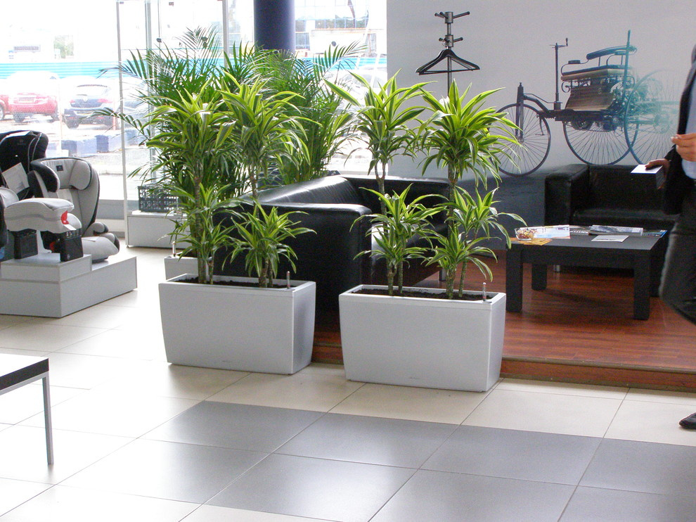 Зона отдыха автосалон Мерседес