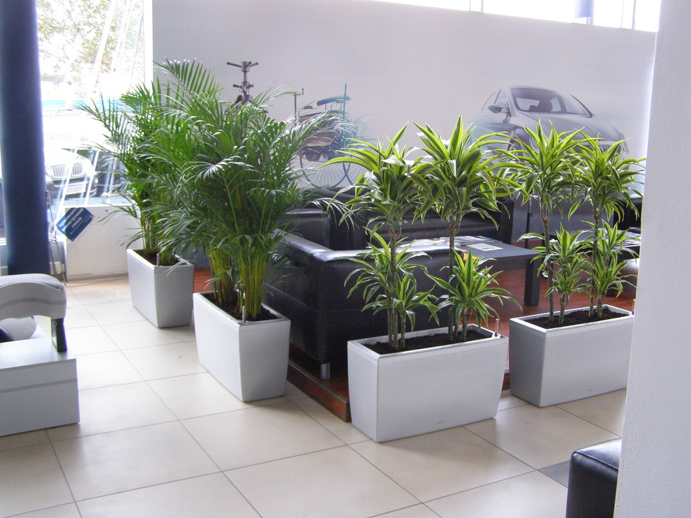 Зона отдыха автосалон Мерседес