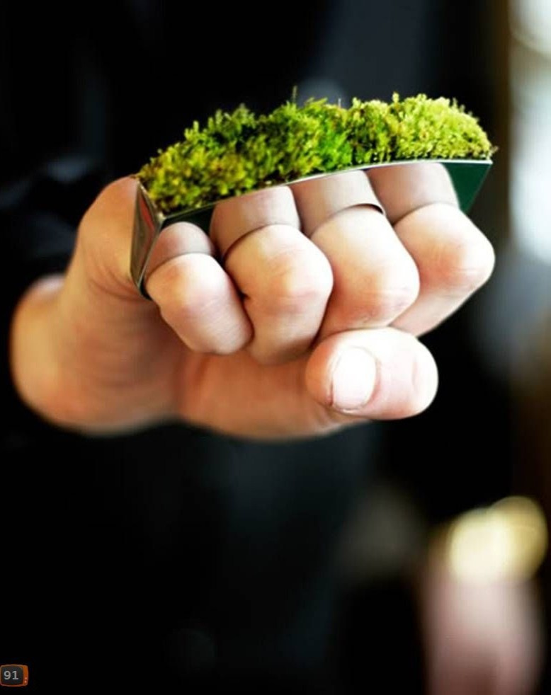 http://www.canadagreendeer.ru   +7 (495) 729-66-24.