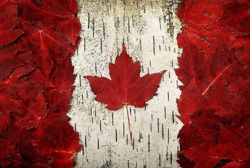 http://www.canadagreendeer.ru   +7 (495) 729-66-24.canadagreen!