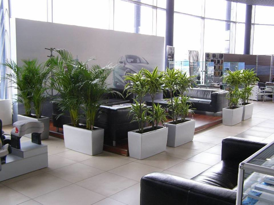 Обложка проекта: Зона отдыха автосалон Мерседес