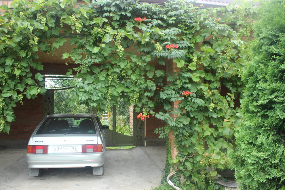 дизайн двора