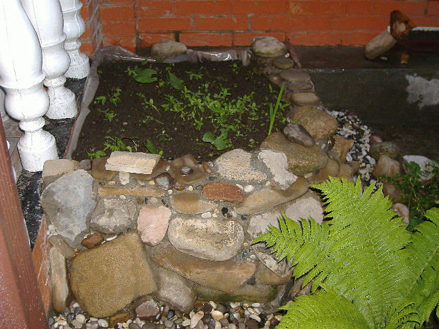 дизайн двора