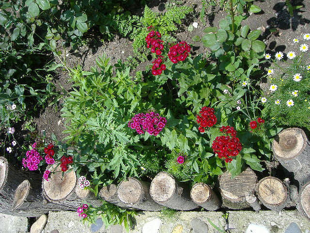 дизайн двора