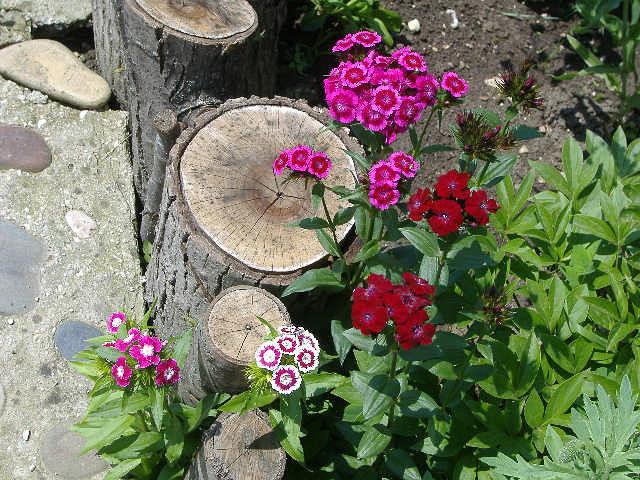 дизайн двора