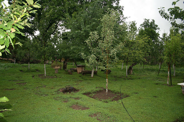 дизайн двора