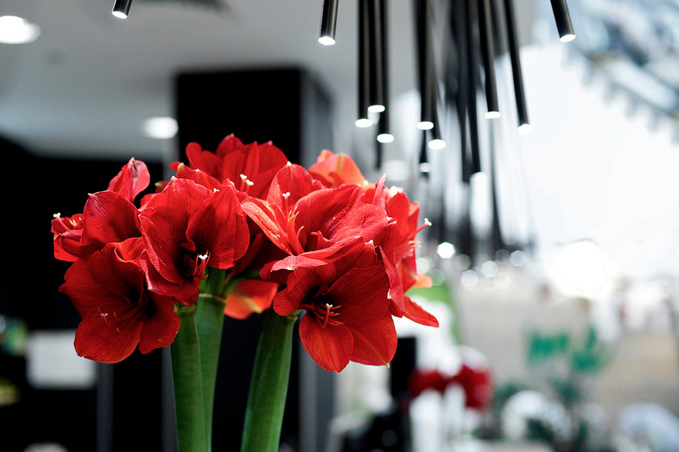 Арт-декор "День всех влюбленных"