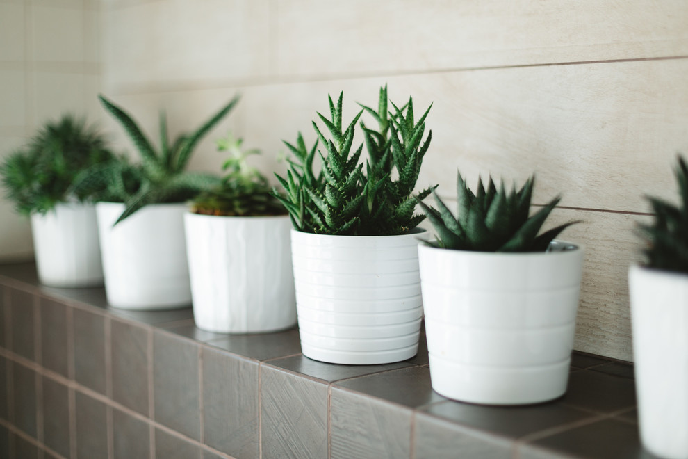 Дом в Тельмана