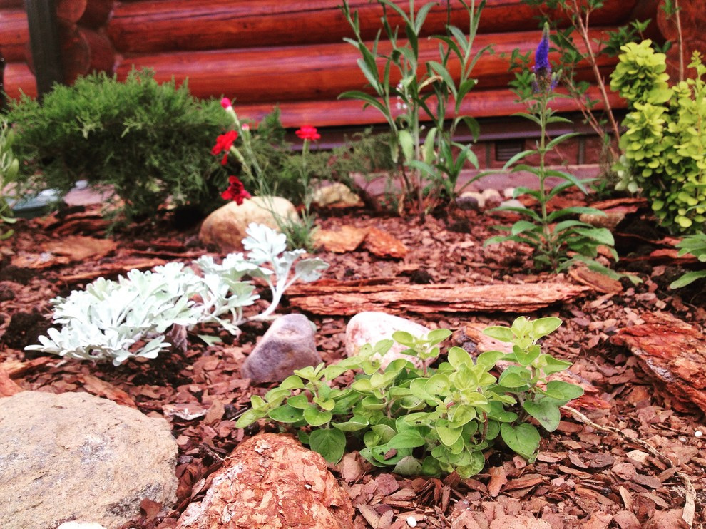 Истринские дачи