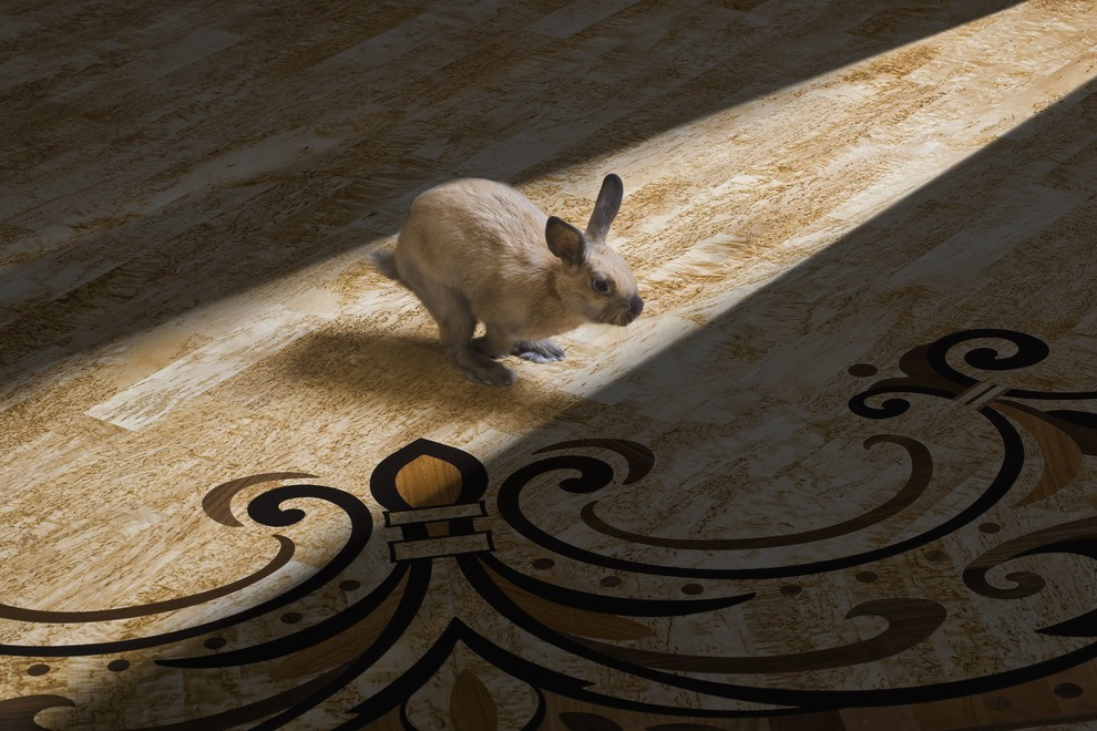 Наши проекты