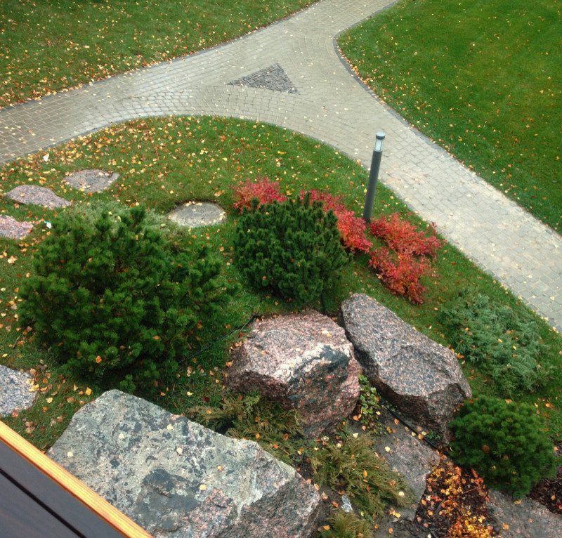 АЛЬПИНАРИИ И РОКАРИИ