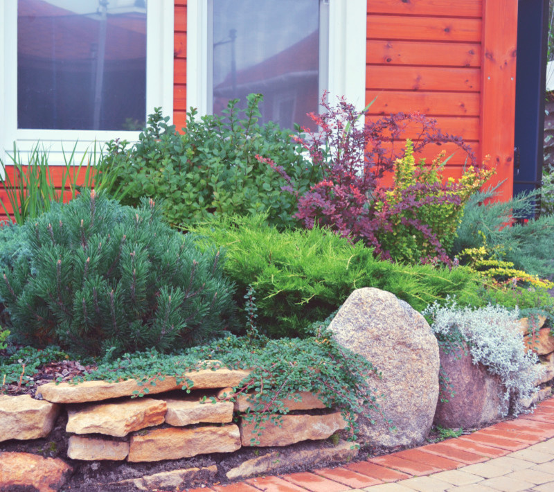 АЛЬПИНАРИИ И РОКАРИИ