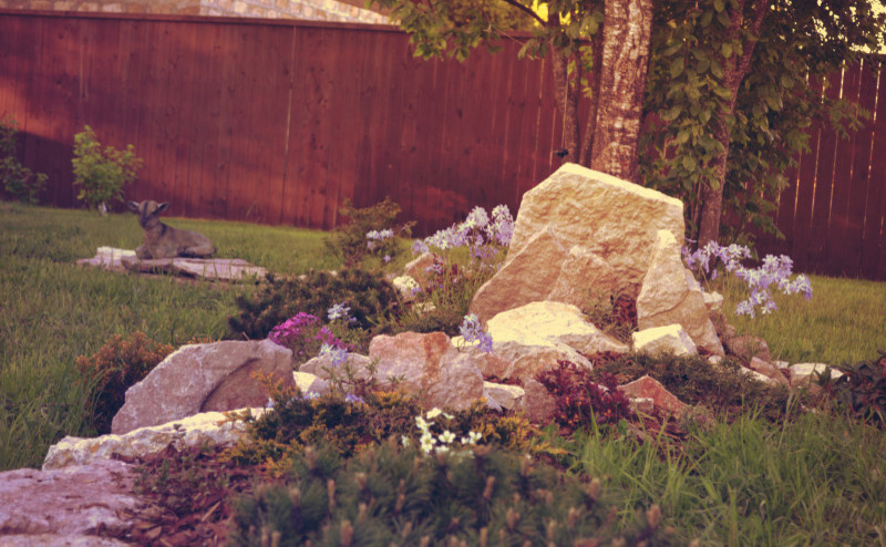 АЛЬПИНАРИИ И РОКАРИИ