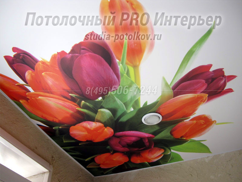 Фотопечать на натяжном потолке