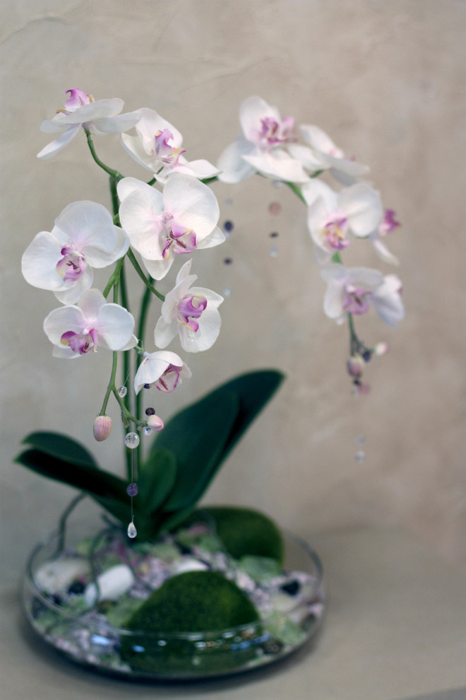 Орхидея фаленопсис в низкой стеклянной вазе