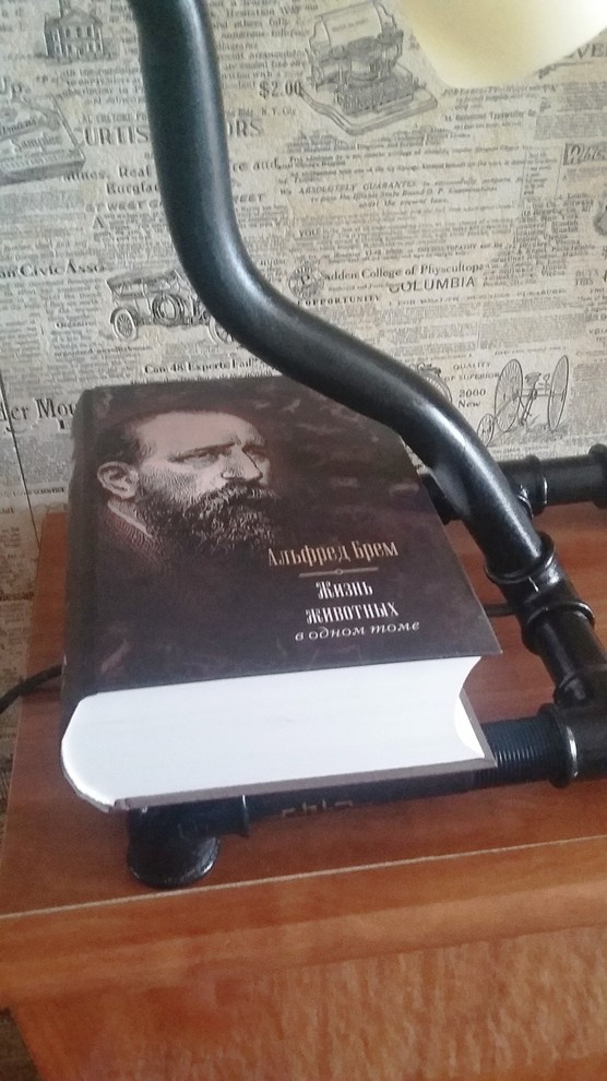 Loft Industrial Lamp by Stelz