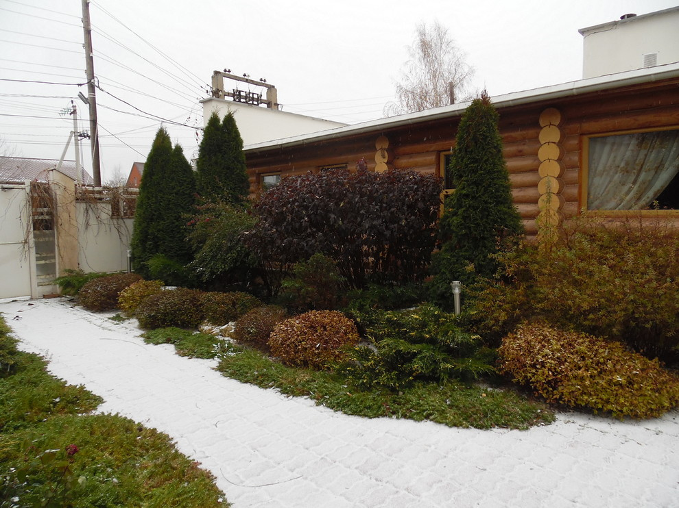 Маленький камерный сад.