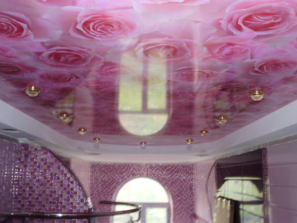 Натяжные потолки с фотопечатью