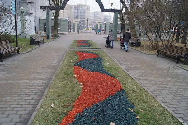 Портфолио