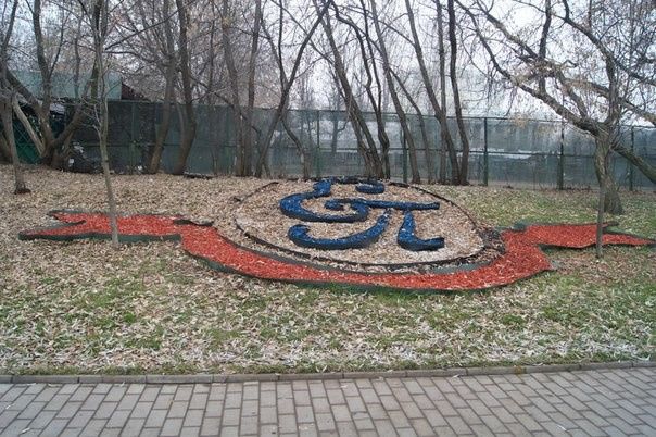 Портфолио