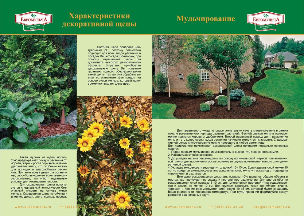 Портфолио