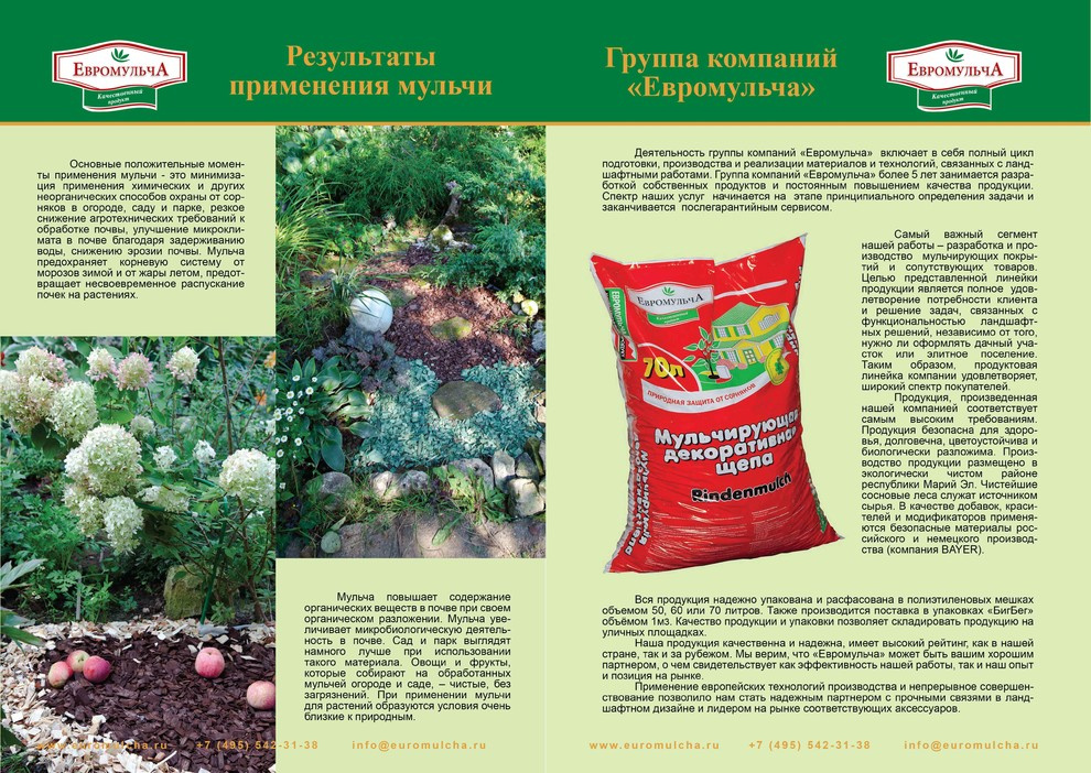 Портфолио