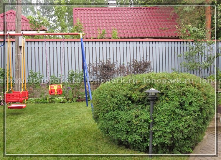 Обложка проекта: Новая жизнь сада