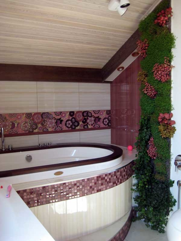 Обложка проекта: Янино