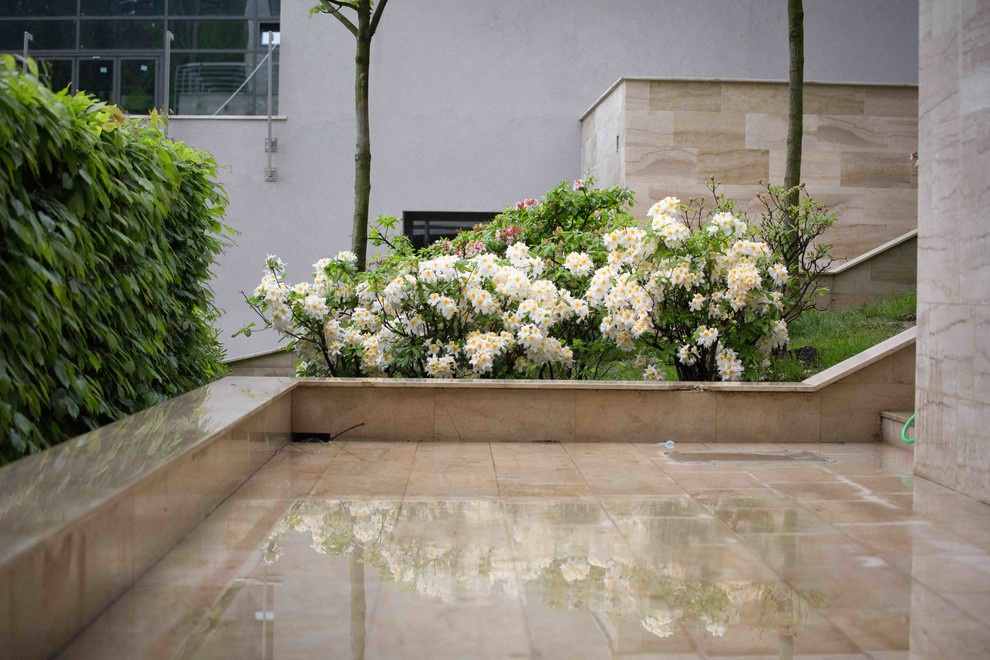 Зеленая роща