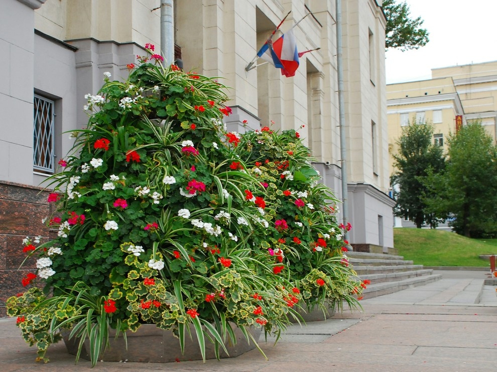 Наши работы