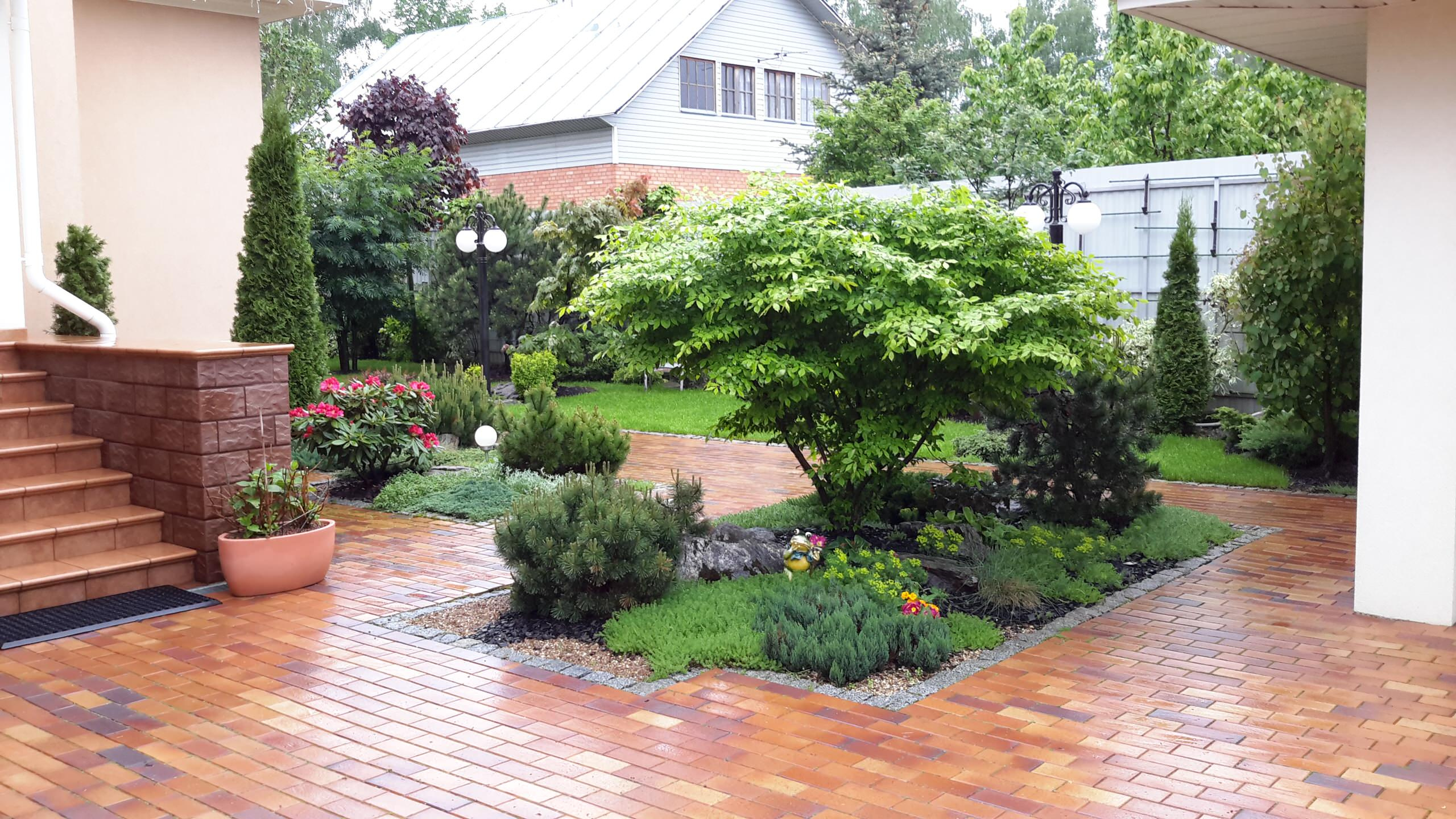 6 соток и меньше: Стратегии выбора растений