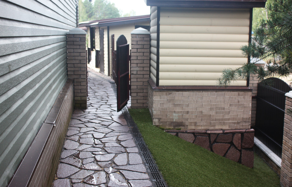 view from the forest