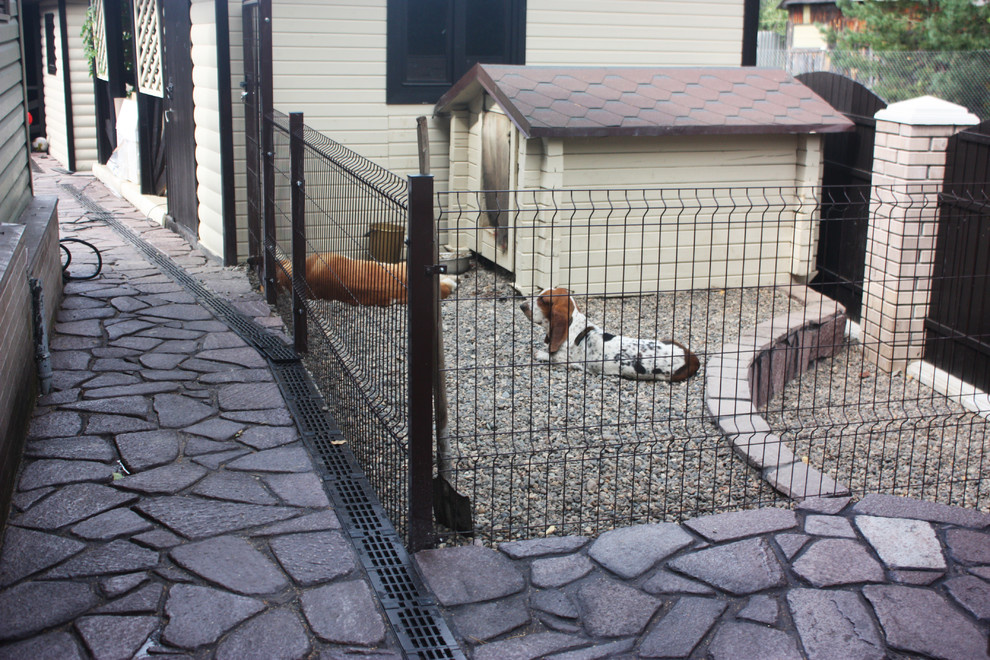 view from the forest