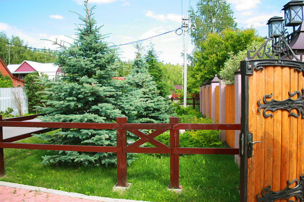 Сад у входа на участок. Завидово. Участок № 1.