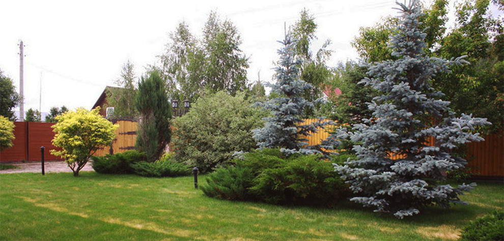 Сад фото - контраст цвета и формы в саду в Завидово.