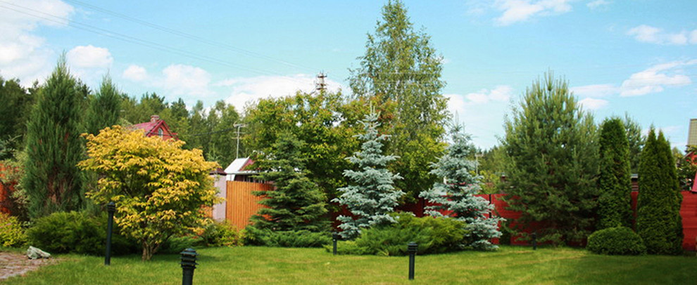 Сад с ландшафтным дизайном участка в Завидово.