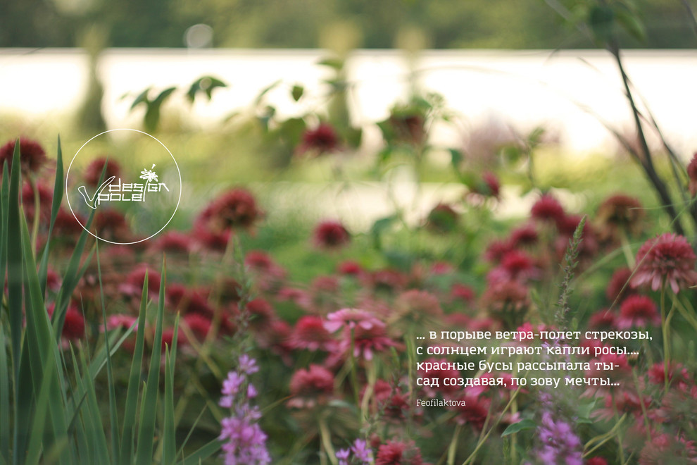 landscape design - Kirovskoe_Dnepropetrovsk region