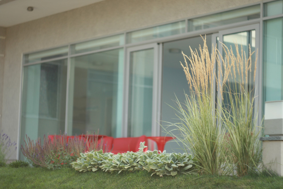 landscape design - Kirovskoe_Dnepropetrovsk region