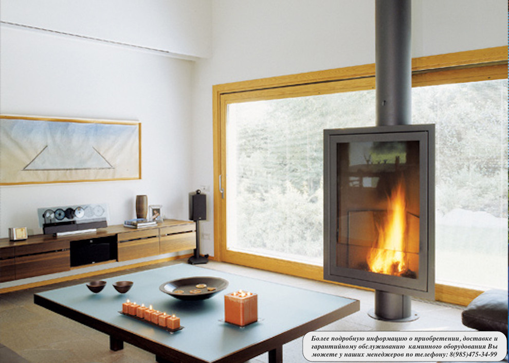 Камины Focus (Франция).