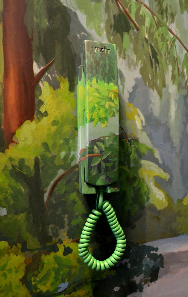 Роспись шкафов. Фрагмент. Трубка домофона.