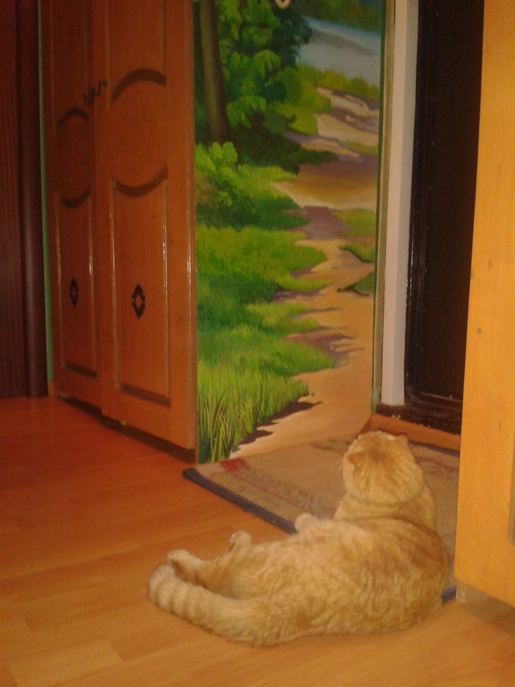 Кот созерцает природу на одном из шкафов в прихожей.