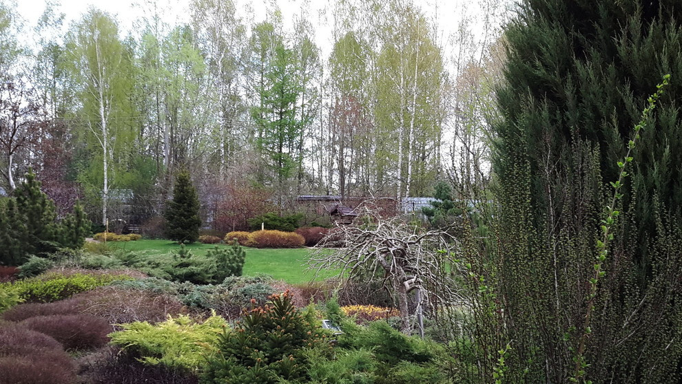 Пробуждение природного сада